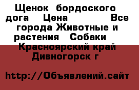 Щенок  бордоского  дога. › Цена ­ 60 000 - Все города Животные и растения » Собаки   . Красноярский край,Дивногорск г.